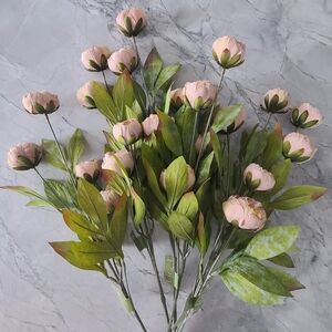 6 Tan Peony Stems By Ashland